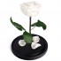 Роза в колбе Premium белая, 29 см.